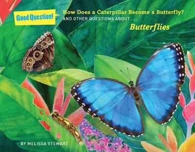 How Does a Caterpillar Become a Butterfly?: And Other Questions About Butterflies