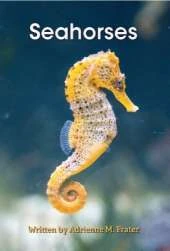 Seahorses