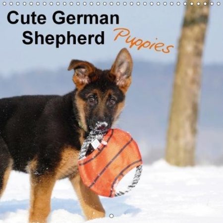 Cute German Shepherd Puppies 2018: Who Can Resist Their Magic