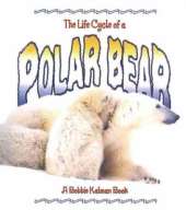 The Life Cycle of a Polar Bear