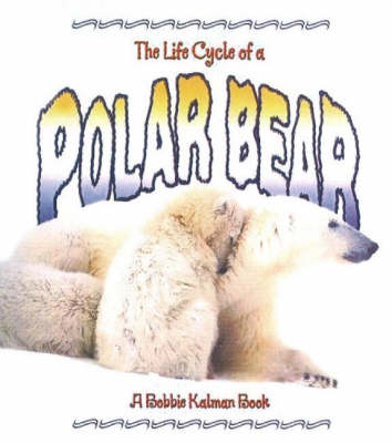 The Life Cycle of a Polar Bear