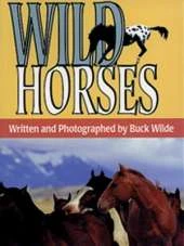 Wild Horses