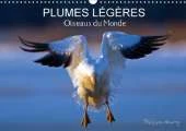 Plumes Legeres. Oiseaux du Monde: Treize Photos d'Oiseaux en Action, Photographies avec l'Oeil d'Artiste de Philippe Henry