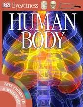 Human Body