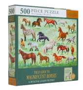 Field Guide to Magnificent Horses