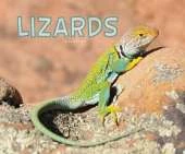 Meet Desert Animals Pack A of 4