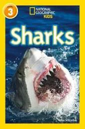 Sharks: Level 3
