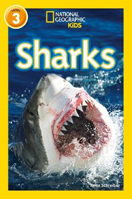 Sharks: Level 3