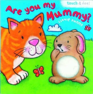Little Bunny: Are You My Mummy?