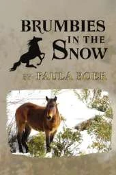 Brumbies in the Snow