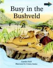 Busy in the Bushveld South African edition