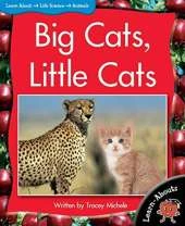 Learnabouts Lvl 9: Big Cats, Little Cats