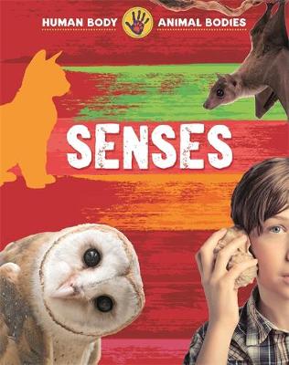 Senses