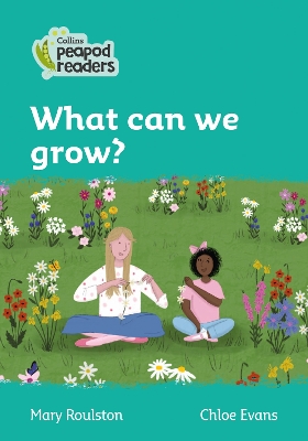 What can we grow?: Level 3