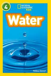 Water: Level 4