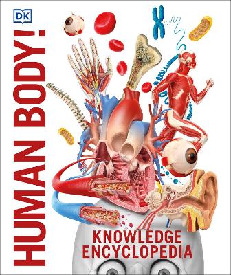 Knowledge Encyclopedia Human Body!: Human Anatomy as You've Never Seen It Before