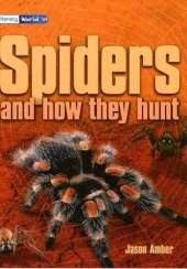Literacy World Stage 4 Non-Fiction: Spiders (and How They Hunt) (6 Pack)