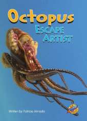 Octopus Escape Artist