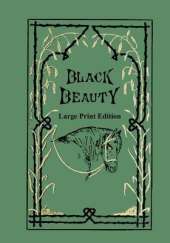 Black Beauty - Large Print Edition