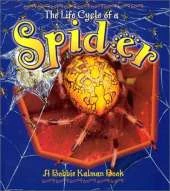 The Life Cycle of the Spider