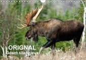 Orignal. Geant Silencieux 2017: L'Orignal du Canada au Fil des Quatre Saisons
