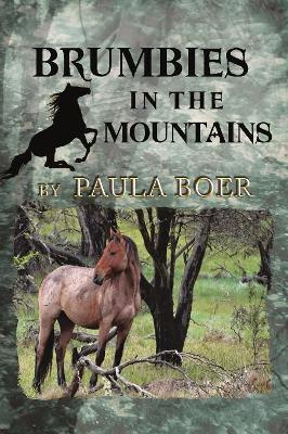 Brumbies in the Mountains