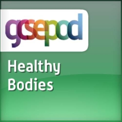 Humans as Living Organisms: Healthy Bodies