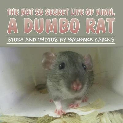 The Not So Secret Life of NIMH, a Dumbo Rat
