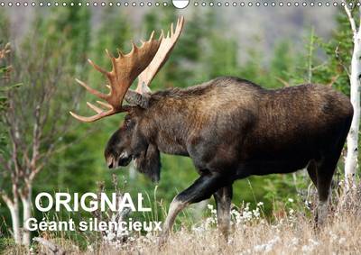 Orignal. Geant Silencieux 2017: L'Orignal du Canada au Fil des Quatre Saisons