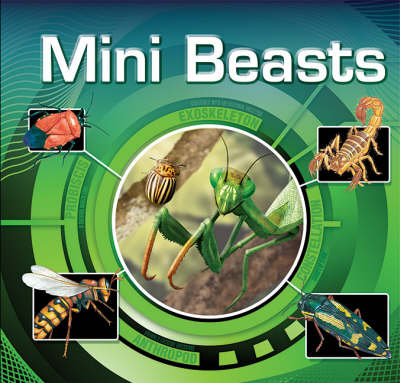 Mini Beasts