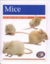 Mice