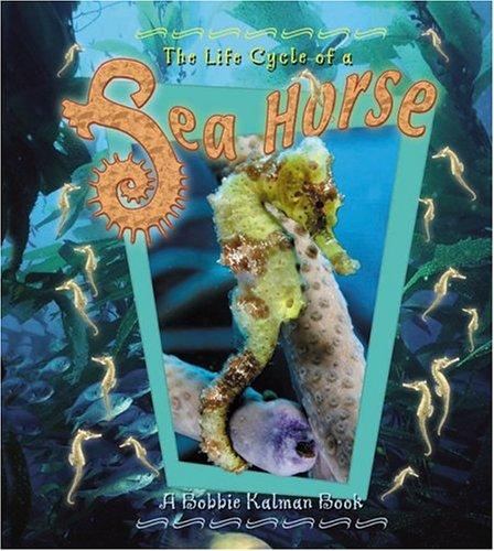 The Life Cycle of the Sea Horse