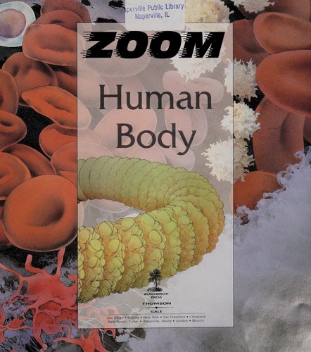 The Human Body