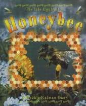 The Life Cycle of the Honeybee