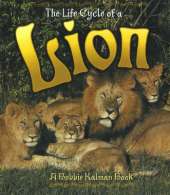 The Life Cycle of a Lion