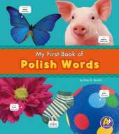 Polish Words