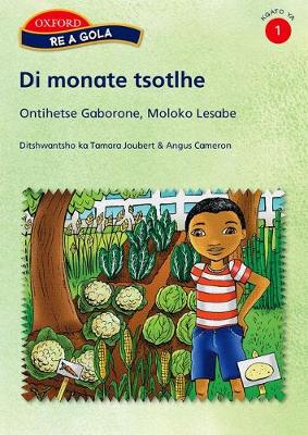 Di Monate Tsotlhe