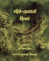 Red-Spotted Newt