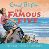 Five Fall Into Adventure: Book 9