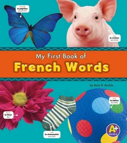 Bilingual Picture Dictionaries Pack A of 6