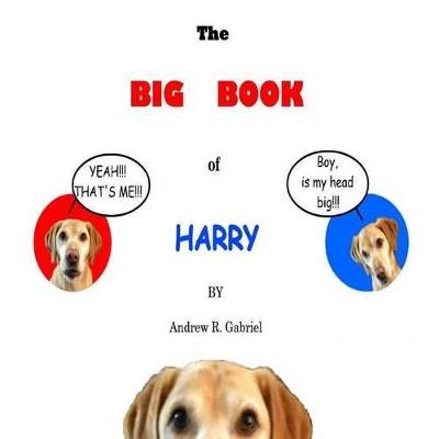 The Big Book of Harry