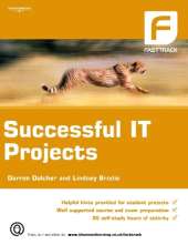SUCCESSFUL IT PROJECTS