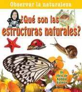 Que Son las Estructuras Naturales?