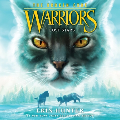 Warriors: the Broken Code #1: Lost Stars