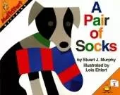 A Pair of Socks: MathStart Level 1: Matching