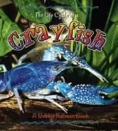The Life Cycle of the Crayfish