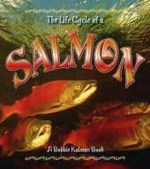 The Life Cycle of the Salmon