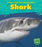 Shark