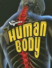 Human Body
