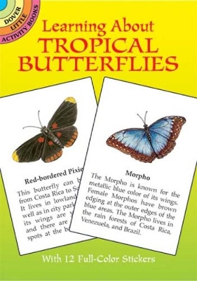 Learning About Butterflies